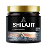 شیلاجیت بی بی ای آو bbeeaauu Shilajit